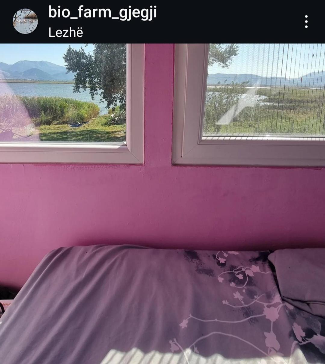 Gjegji Tale